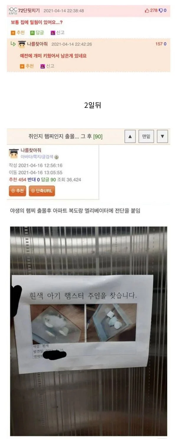 집에서 쥐가 나온 웃대인