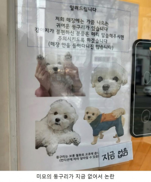 카페 강아지 논란