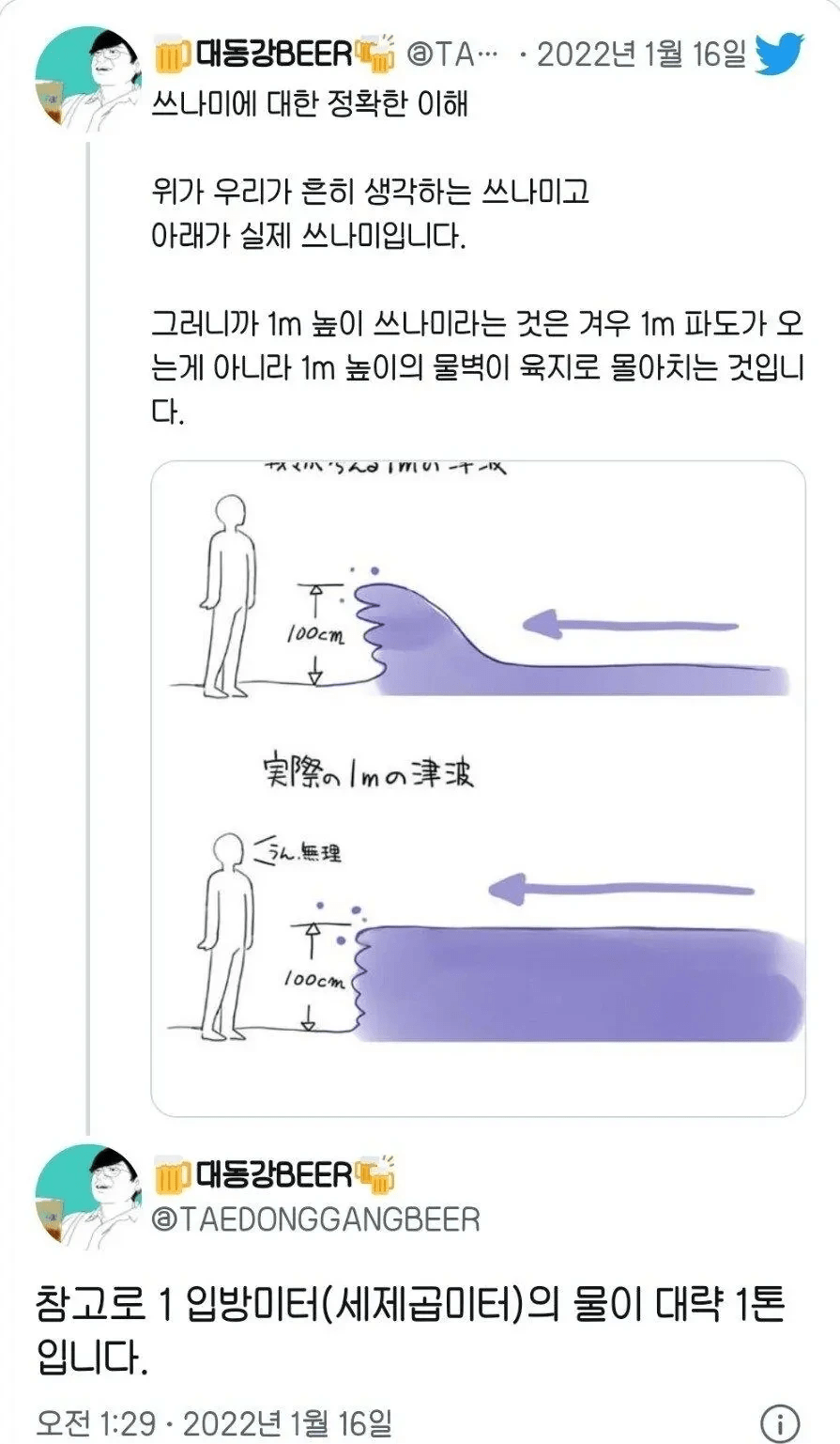 우리가 생각하는 쓰나미 vs 찐 쓰나미 