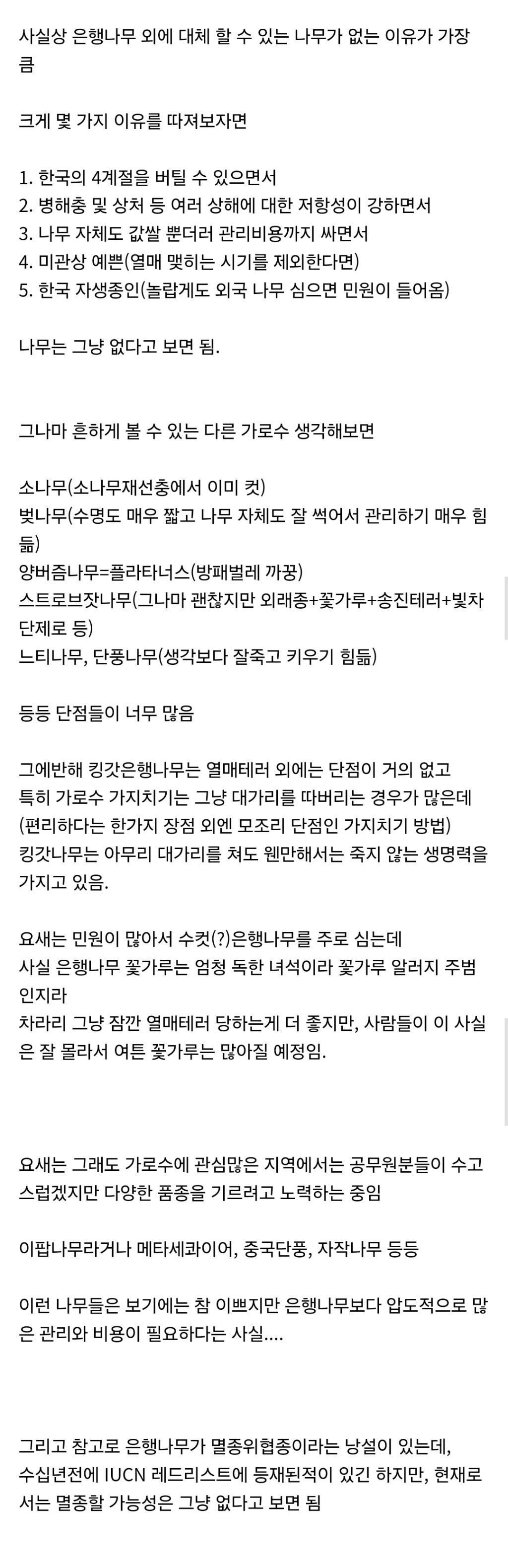 한국은 왜 이렇게 은행나무가 많은거야