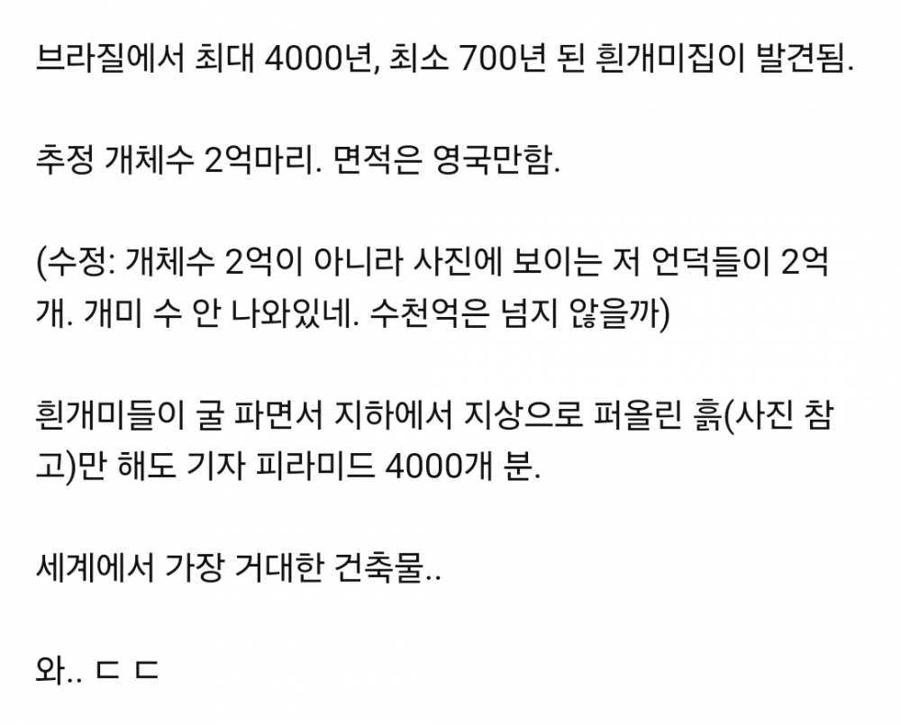 브라질에서 발견된 영국 만한 크기의 개미집 