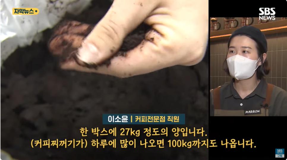 한 카페에서만 하루 100kg…"맛있어요" 쓰레기 '깜짝 반전'