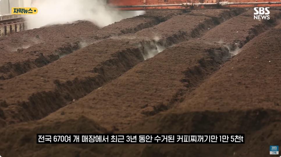 한 카페에서만 하루 100kg…"맛있어요" 쓰레기 '깜짝 반전'