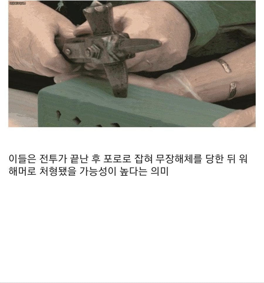 15세기 병사들의 유골 분석 결과