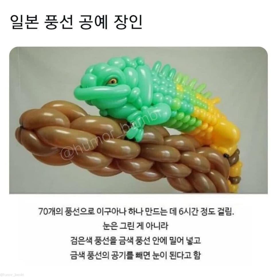 일본 풍선 공예 장인.jpg