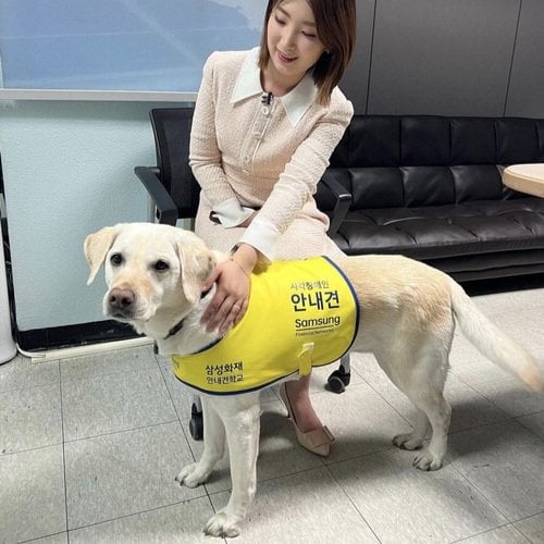 식당에 들어온 안내견을 본 사장님의 한마디 