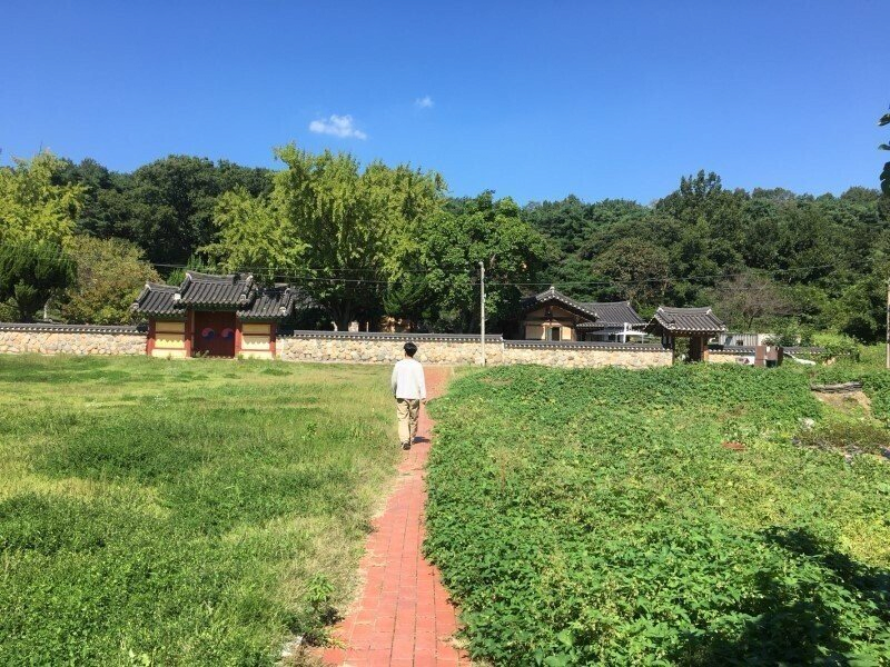 경주에 존재한다는 신기한 칼국수집