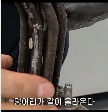 7년동안 청소안한 커피머신 상태