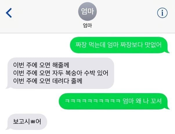 엄마 "내가 먹여 살릴게 집에 와 나랑 여행 다니자"