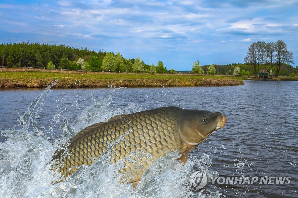 경기도, 낚시터 안전점검서 9곳서 10건 적발…무허가 1곳은 고발