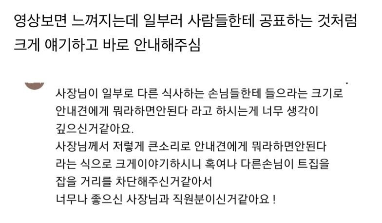 식당에 들어온 안내견을 본 사장님의 한마디 