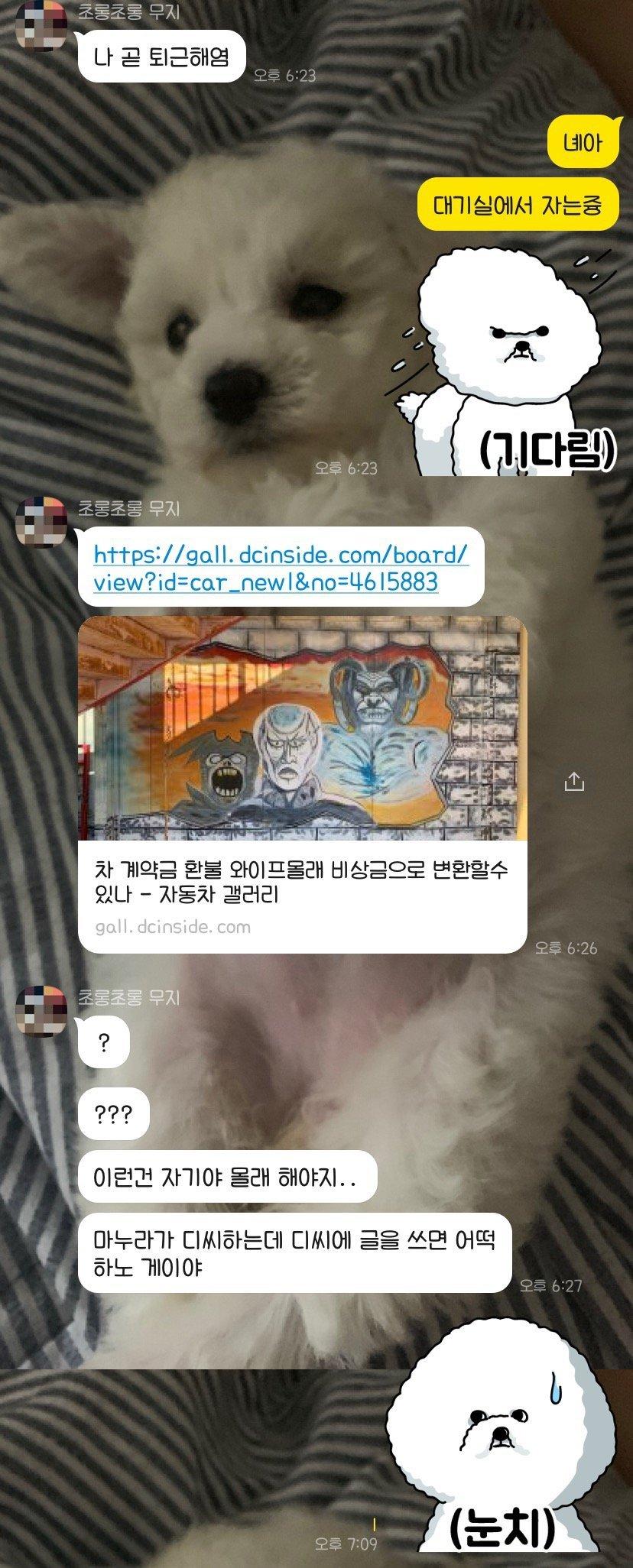 비상금 만들려다가 들킨 디시인.kakao