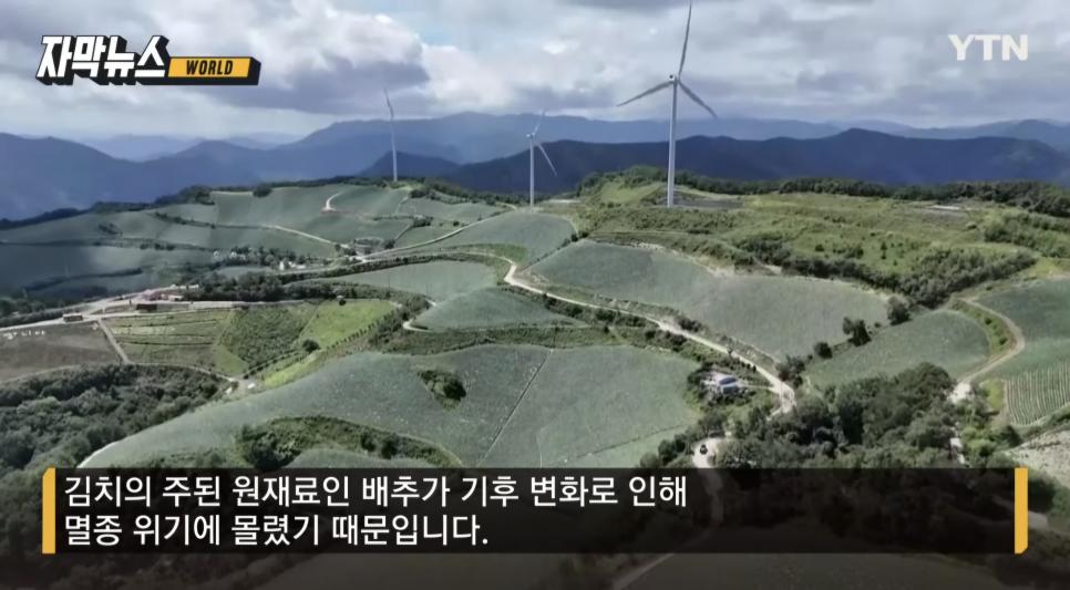 기후위기로 한국에서 큰일 나고있는 부분 중 하나