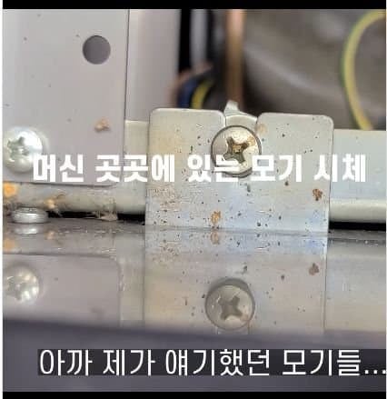 7년동안 청소안한 커피머신 상태