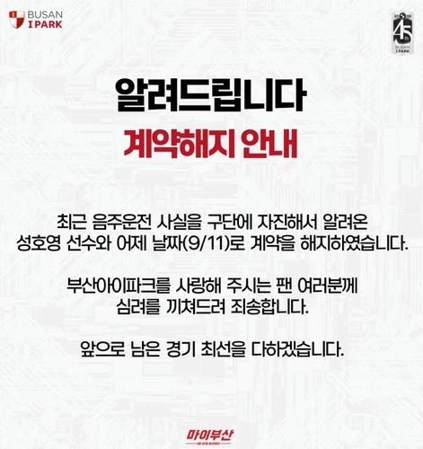 K리그2 부산, 음주운전 성호영 계약해지…연맹은 활동정지 조치(종합)