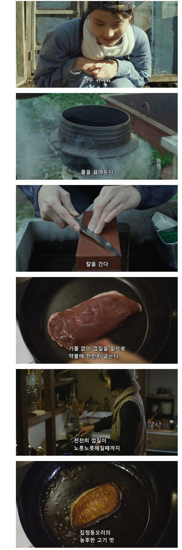 오리 농법으로 벼농사 짓는 일본 여성