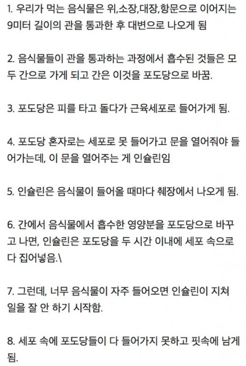 당뇨가 오는 과정.txt