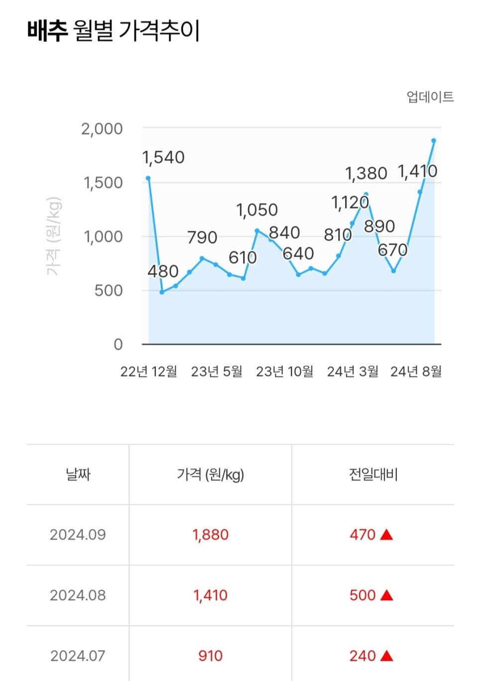 이상한 배추가격