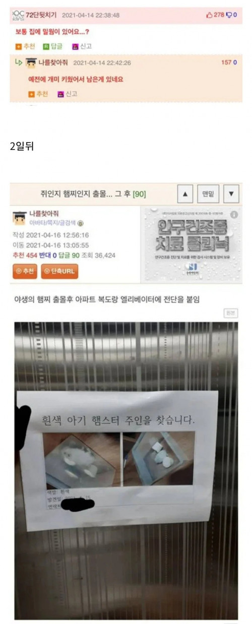 집 안에서 햄스터 나온 이야기