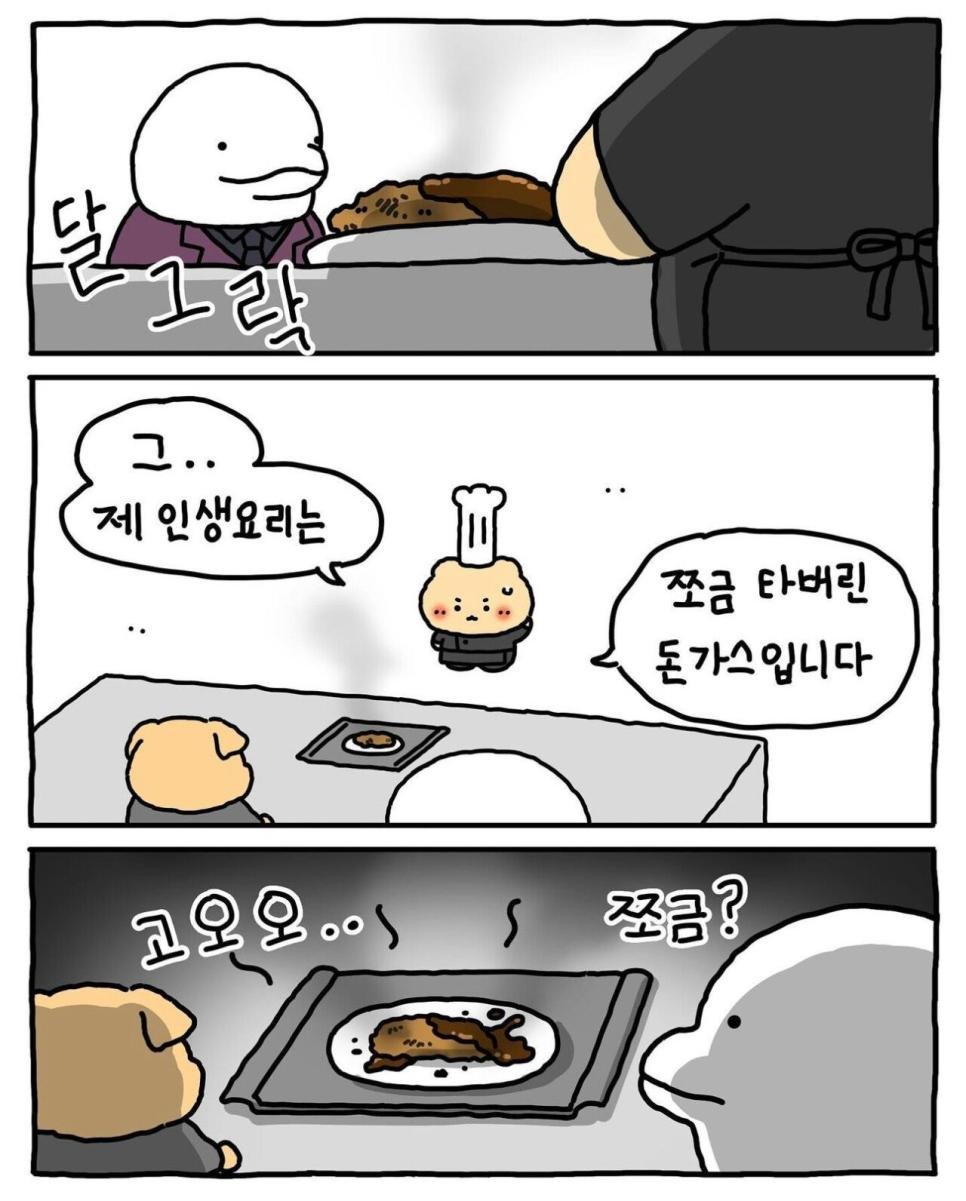 흑백 동물 요리사