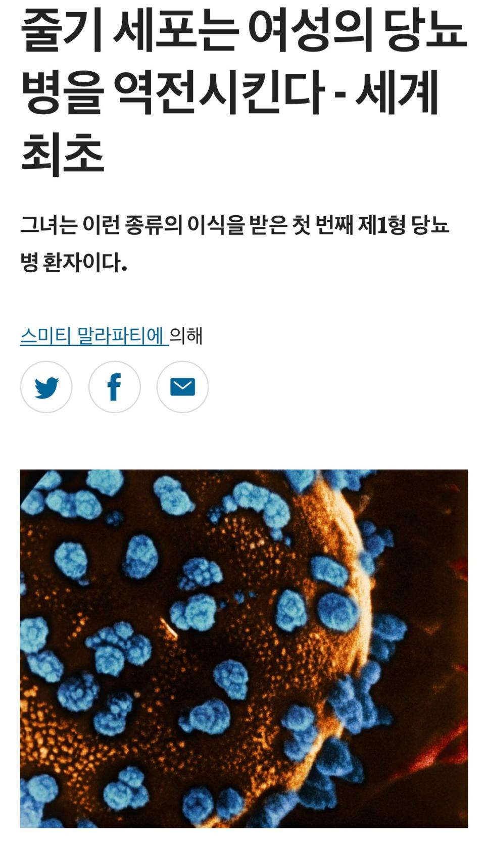 당뇨병 근황