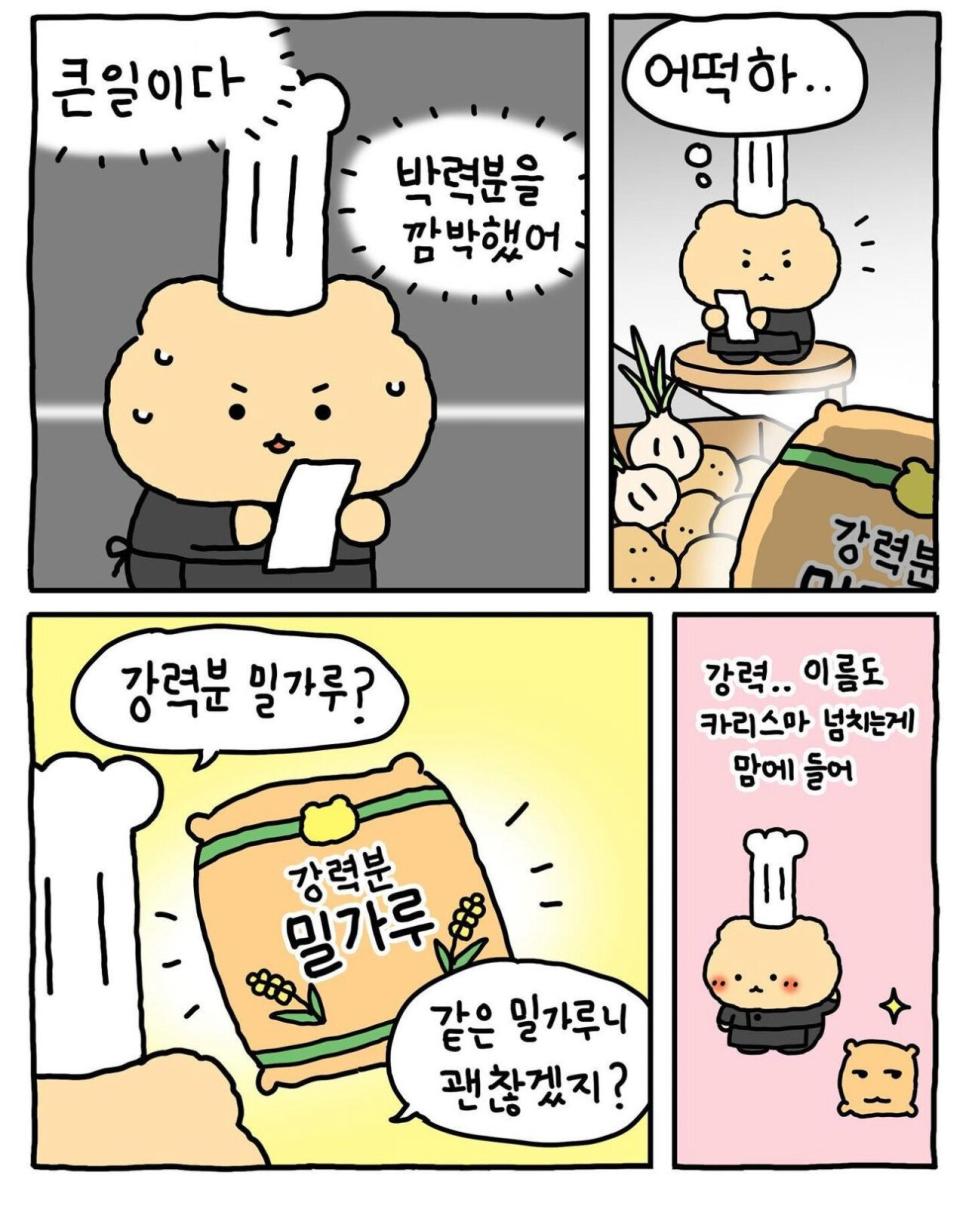 흑백 동물 요리사