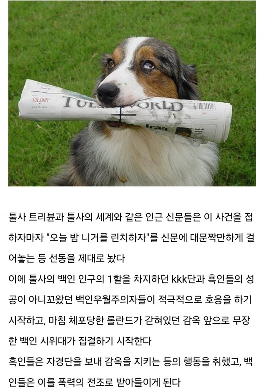 흑인들이 자기들만의 사회를 만들었을때 일어났던 일