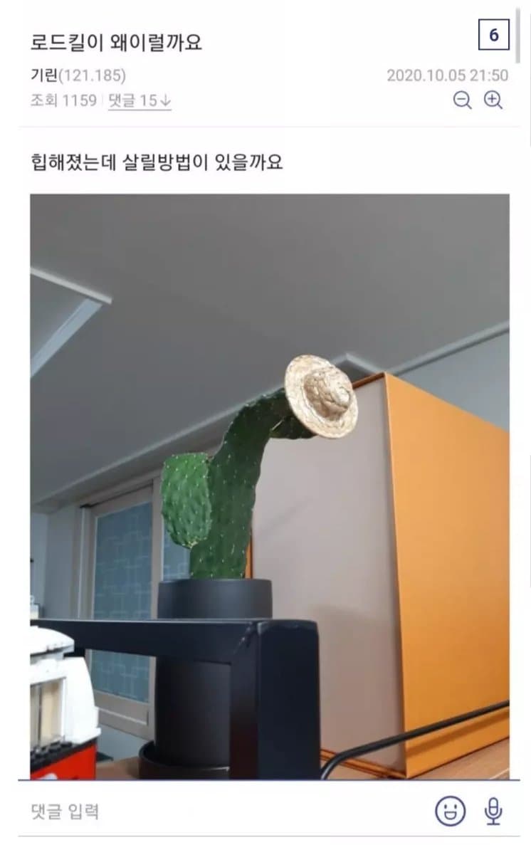 조금 이상한 식물갤 드루이드.jpg