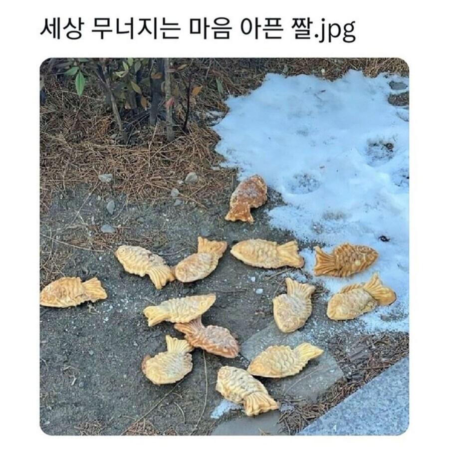 가슴 아픈 짤...