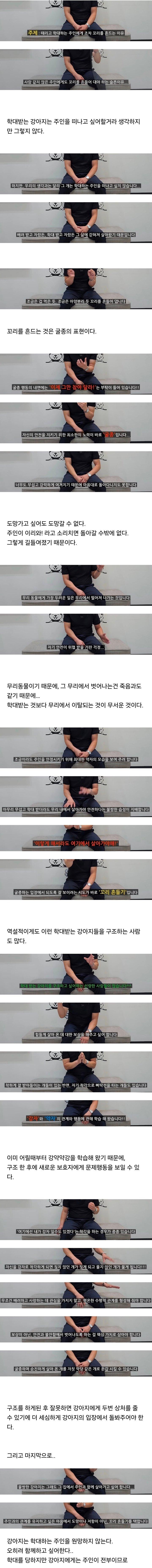 강아지가 학대하는 주인에게 꼬리를 흔드는 이유