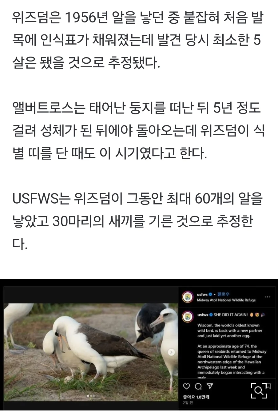 74살 최고령 새, 또 출산