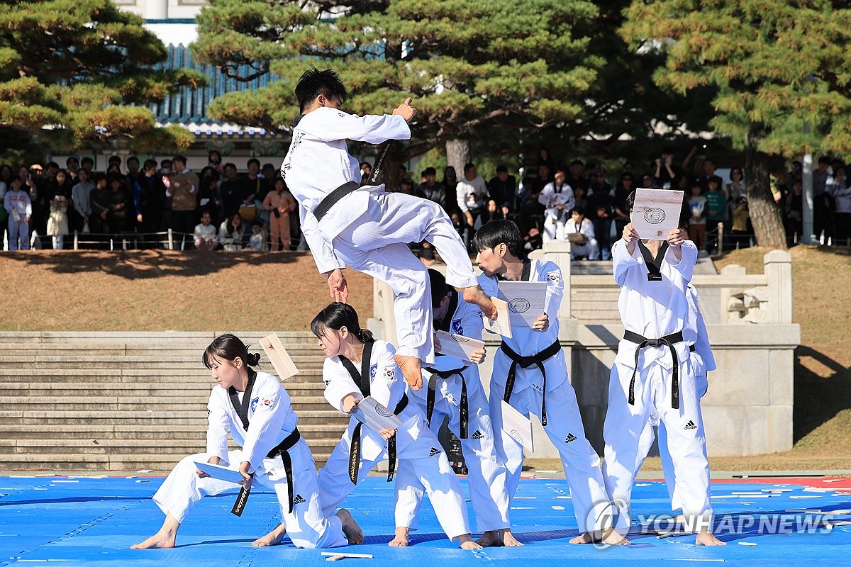 문체부, 4차 태권도 진흥 기본계획 발표…K-문화자산으로 만든다