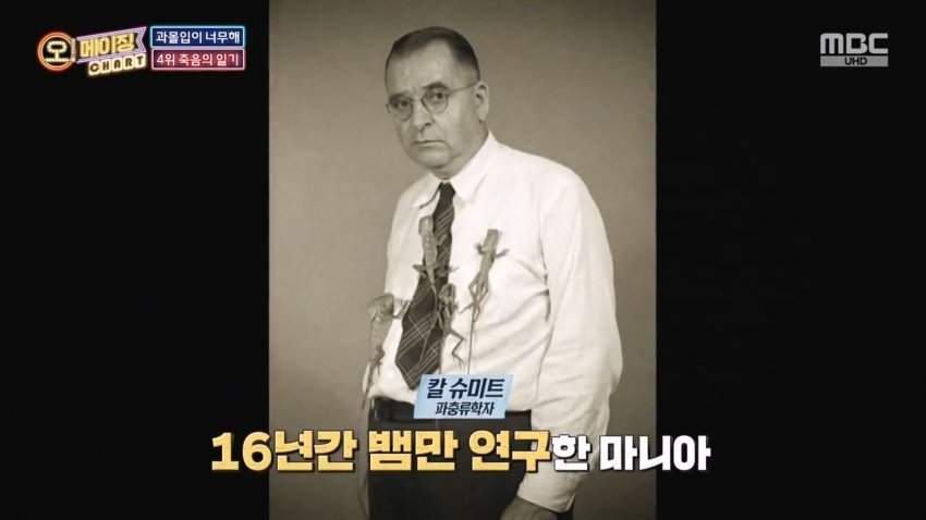 독사에 물렸는데도 치료 거부한 뱀 연구학자