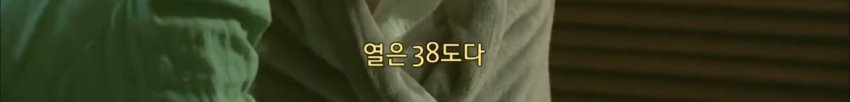 독사에 물렸는데도 치료 거부한 뱀 연구학자
