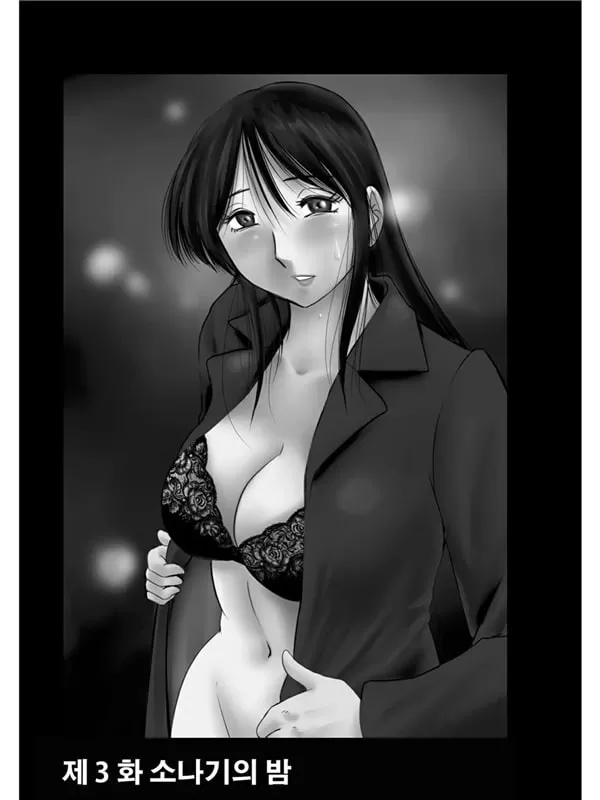 소나기의 밤