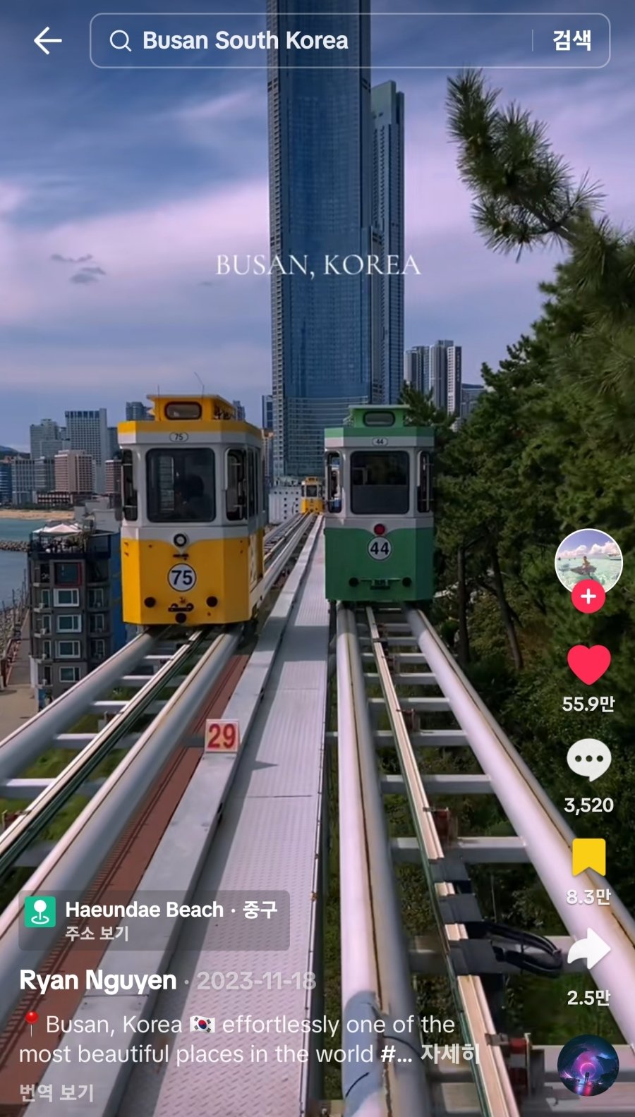 부산 관광객들이 넘쳐난 이유
