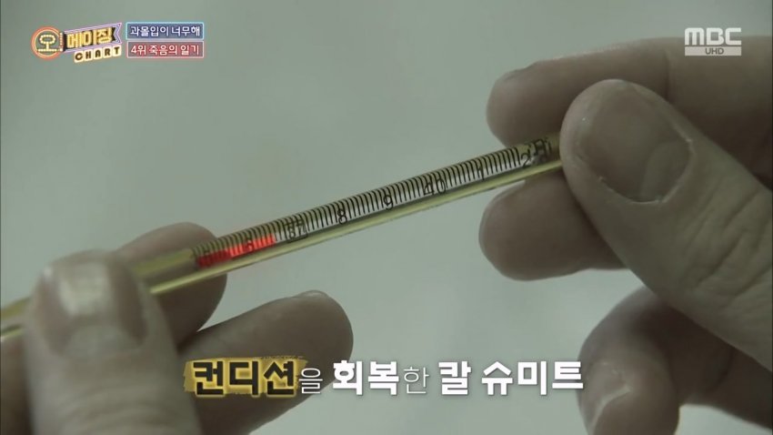 독사에 물렸는데도 치료 거부한 뱀 연구학자