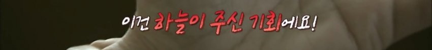 독사에 물렸는데도 치료 거부한 뱀 연구학자