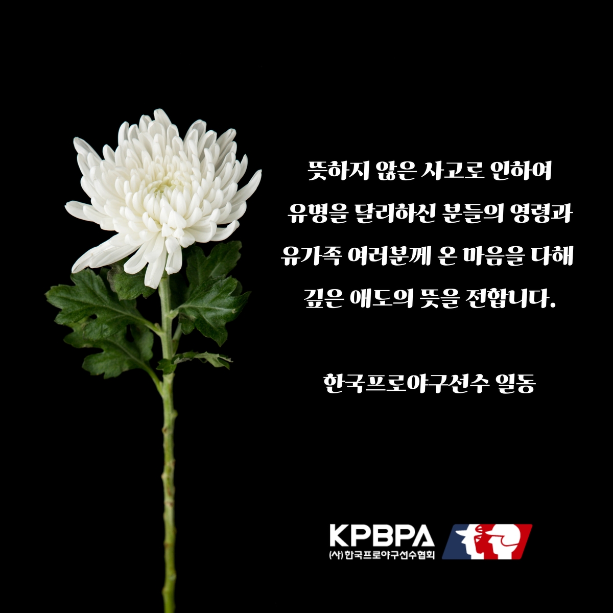 프로야구선수협회, 제주항공 참사 희생자 유가족에 기부