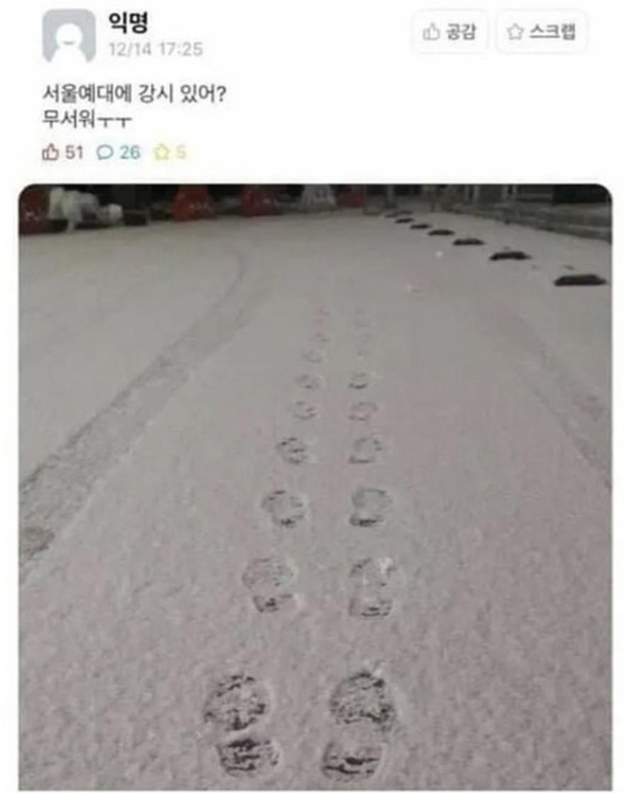 서울 예대 강시