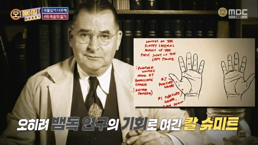 독사에 물렸는데도 치료 거부한 뱀 연구학자