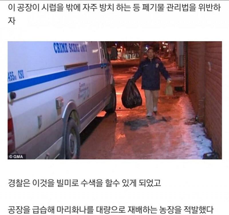미국 레드 허니 사건