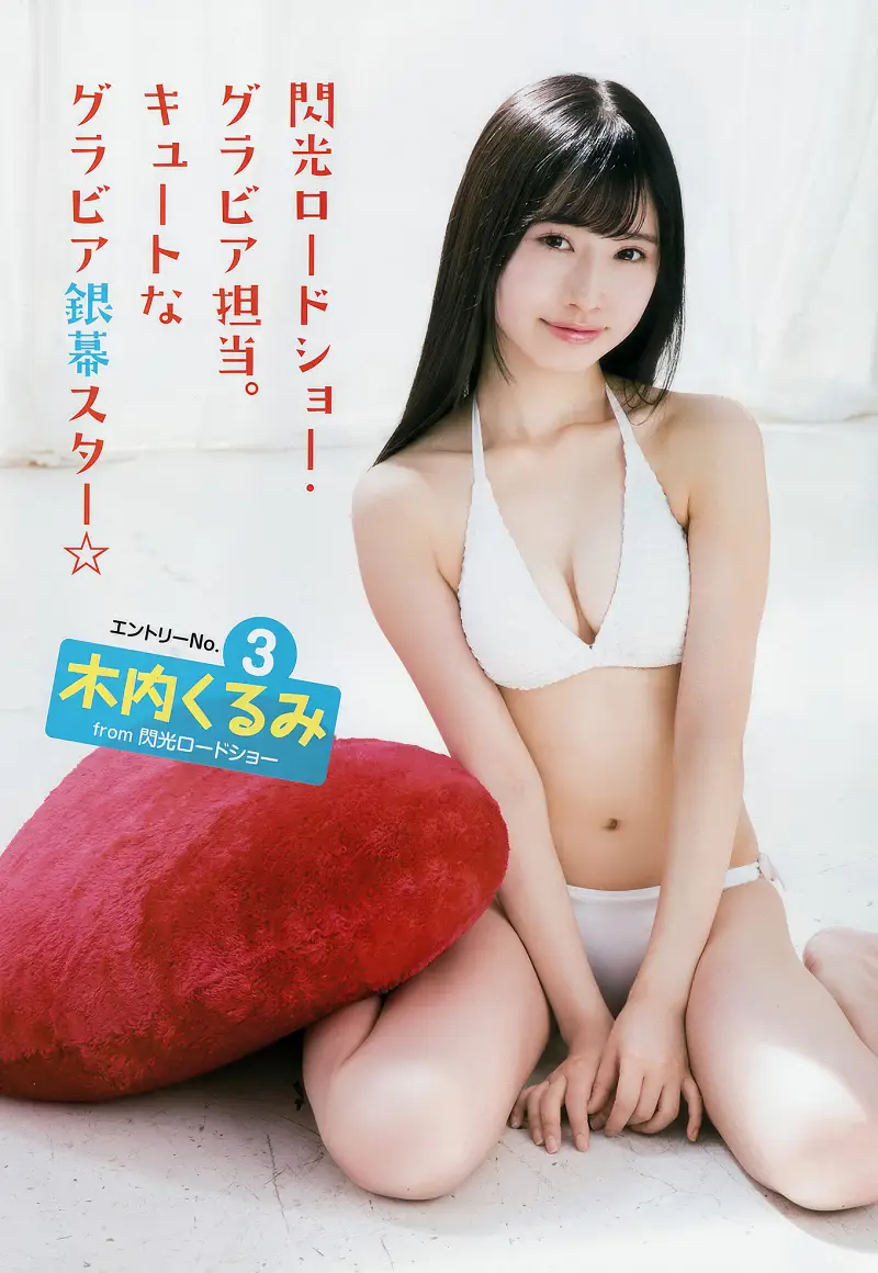 YAグラ姫 FINAL AUDITION, Young Animal 2017 No.22 (ヤングアニマル 2017年22号)