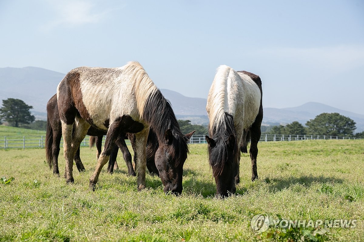 농식품부, 말산업 육성…