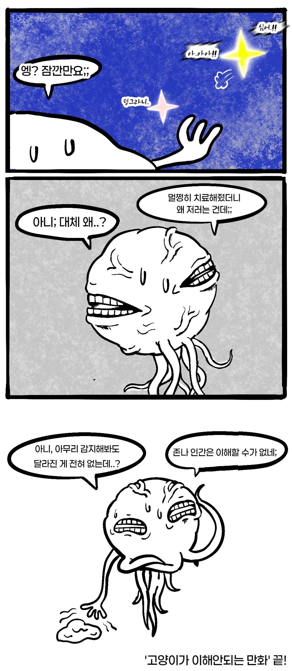 고양이가 이해 안 되는 manhwa
