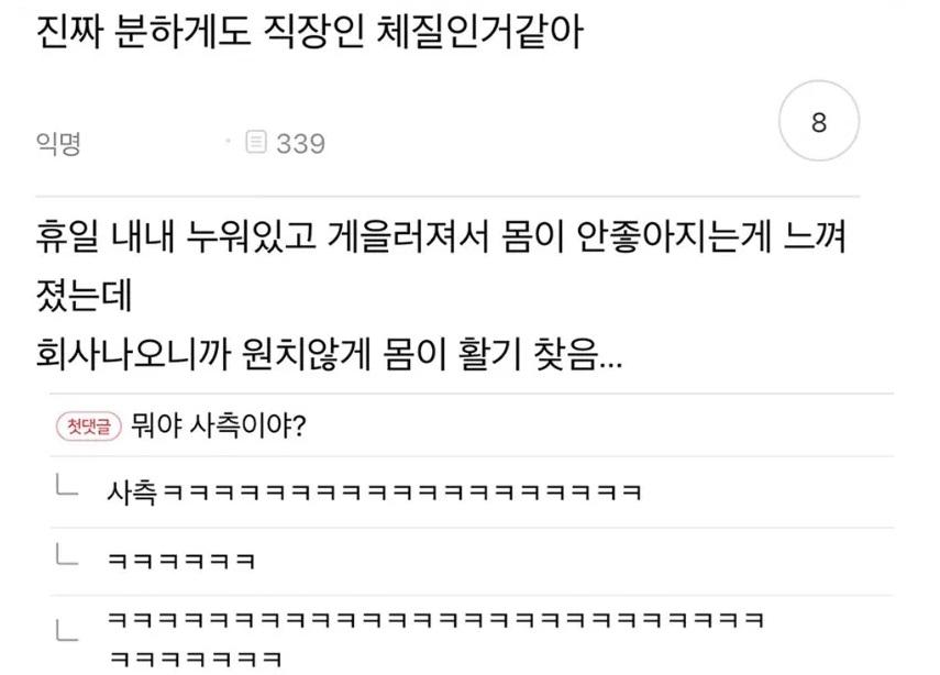 분하게도 직장인 체질 같아