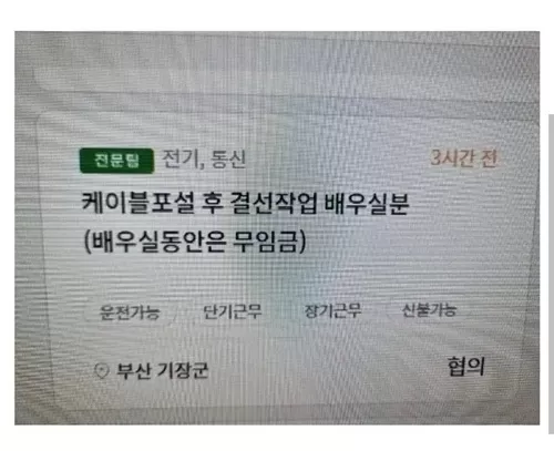 이러니 일을 안하지