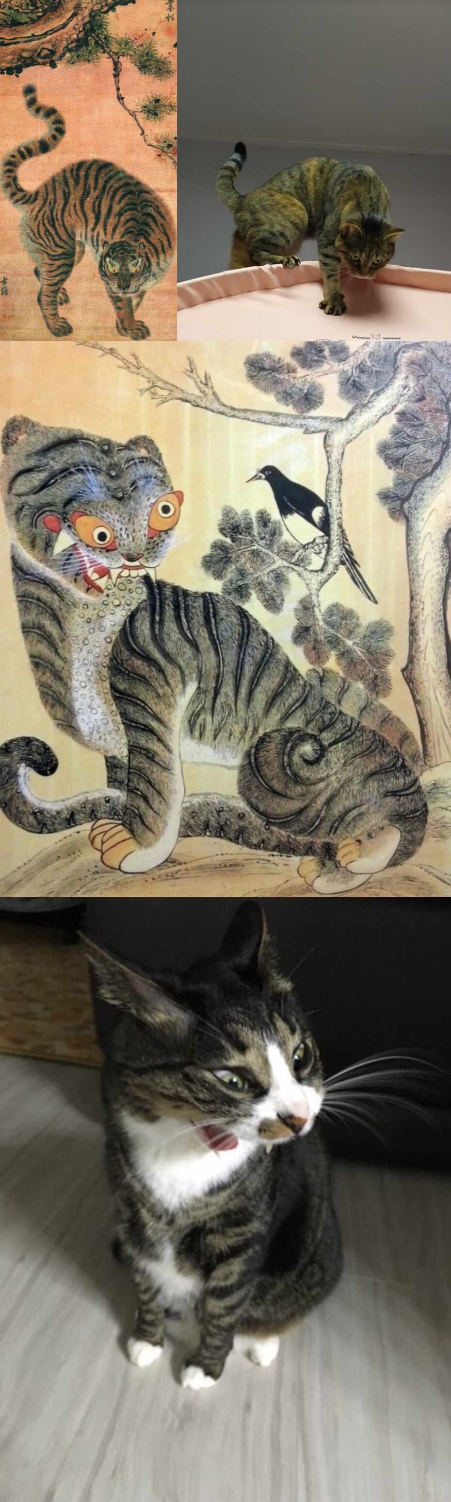 고증 확실한 그림