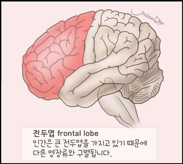 전두엽 손상 자가체크