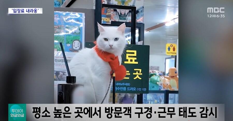 요새 일자리 구하기가 빡센 이유